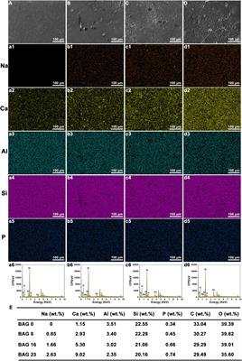 Frontiers | Novel Bioactive Glass-Modified Hybrid Composite Resin ...